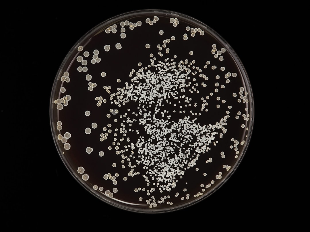 The Impact of Gut Microbiome on Mental Health