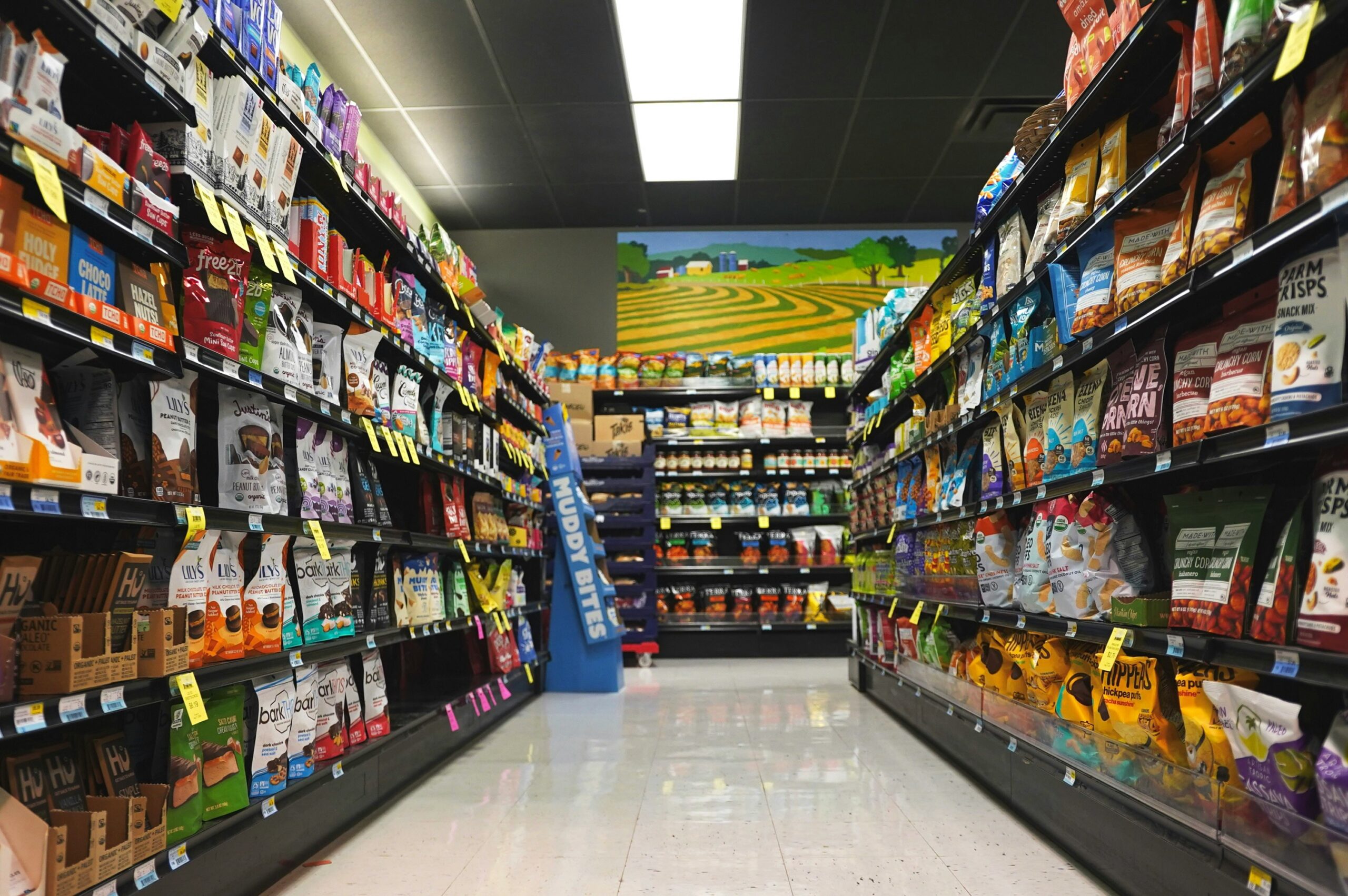 Decoding Pet Food Labels: Choose the Right Product