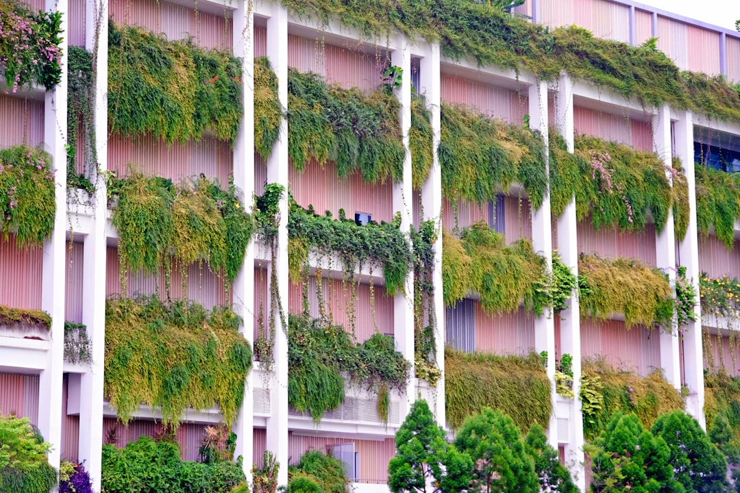 Sustainability Practices in Business Operations: A Key to Long-Term Success