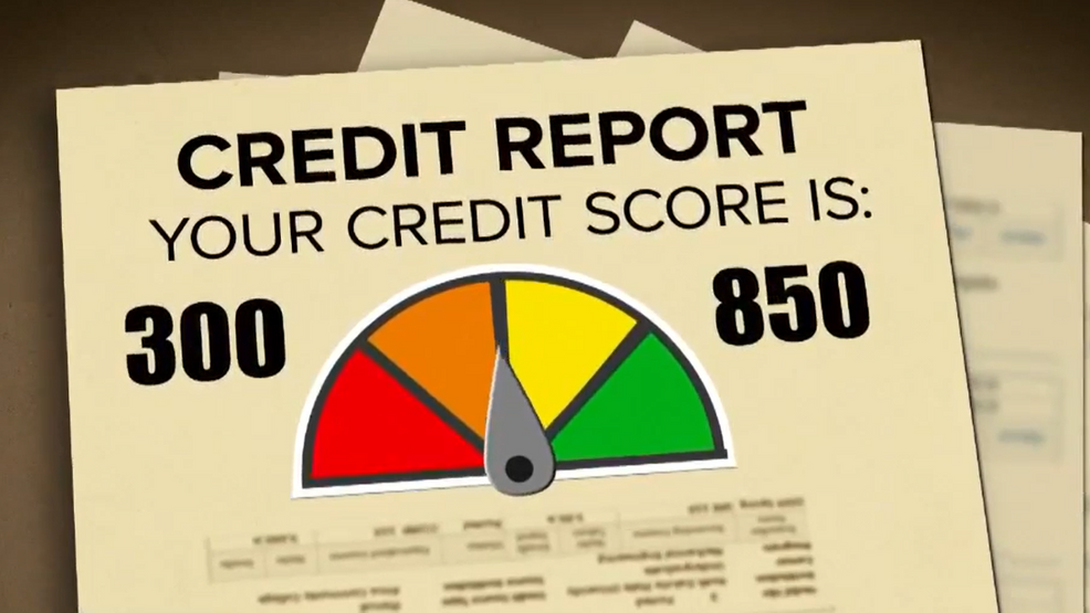 How to Dispute Errors on Your Credit Report