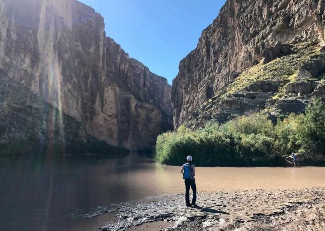 Know the Pros of a Solo 401(k) Plan 