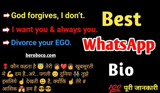 100+ Funny Whatsapp Boi, Status & Funny Whatsapp Bio Ideas