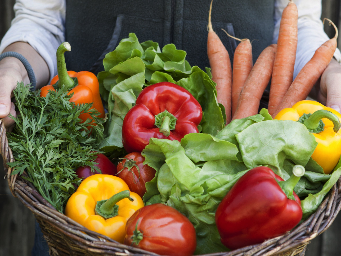 5 Fruits that helps to prevent cancer