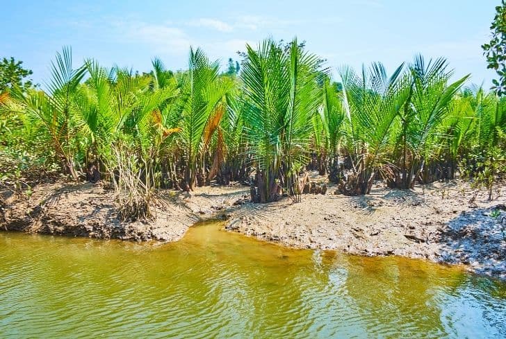 Rivers to Roots: Crafting Serenity with Stone and Soil