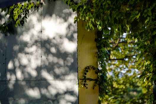 Beyond Income: Turbocharging Your Portfolio with Strategic Dividend Reinvestment