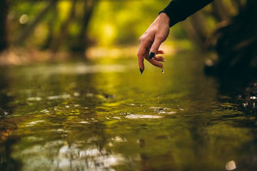 Beyond Distraction: Cultivating Presence for a Profoundly Peaceful Existence