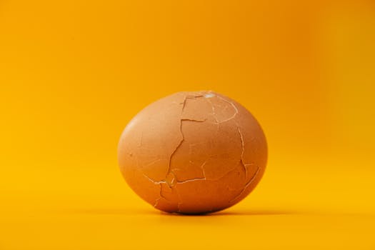 Beyond Bulk: The Indispensable Role of Premium Protein in Sustaining Muscular Integrity