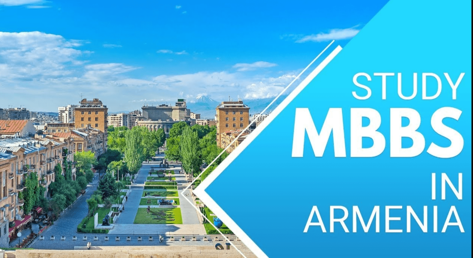 The Definitive Guide to Studying MBBS in Armenia: A Complete Overview