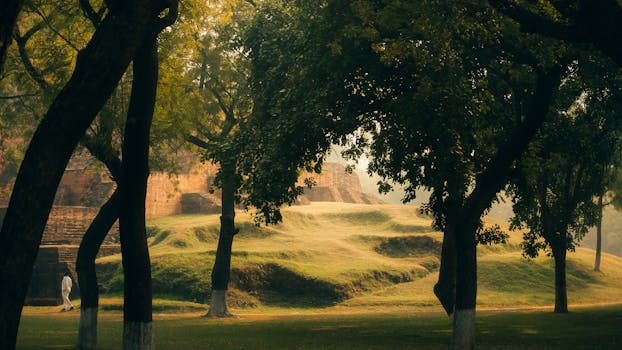 Beyond the Campfire: How Jamboree India Ignites Potential