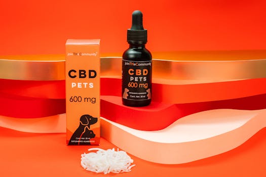 Navigating the Haze: Your Pragmatic Guide to the Best CBD Vape Pen