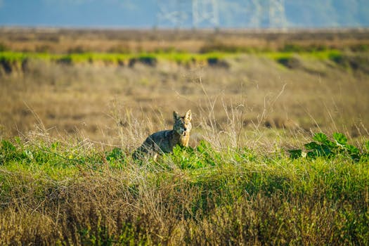 Beyond the Box: What Your Business Starter Kit Actually Needs to Thrive