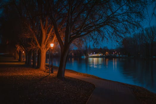 Align Your Home with Your Inner Clock: The Power of Circadian-Congruent Lighting