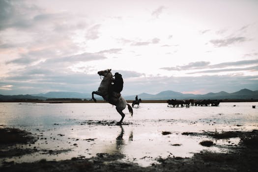 The Evolving Landscape of Digital Measurement: Unpacking Cookieless Attribution