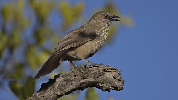 Decoding the Digital Sculptor: Beyond Basic Photo Enhancer Functionality