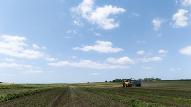 The Humble Thermostat: Your Home’s Unsung (and Occasionally Grumpy) Brain