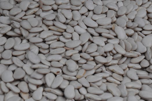 Beyond the Bicep: Why Protein is Critical Too, Even If You’re Not Buff