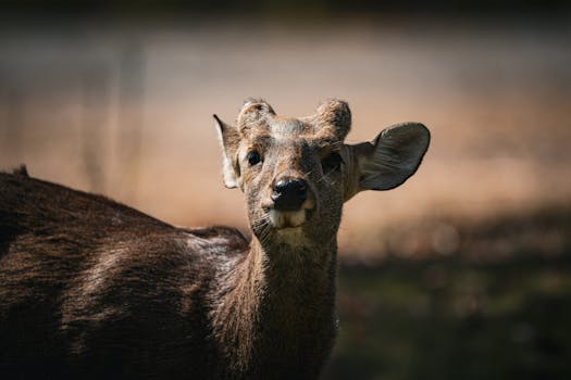 Beyond the Selfie: Crafting Your Professional First Impression