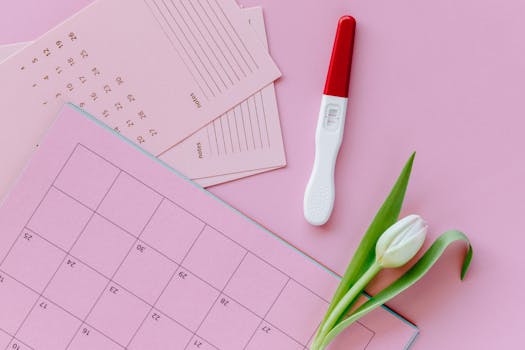 Charting Your Course: The Power of Defined Plans of Action and Milestones