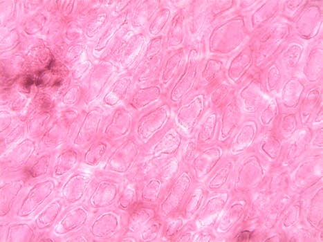 Mastering Cell Line Development: Beyond the Petri Dish Basics
