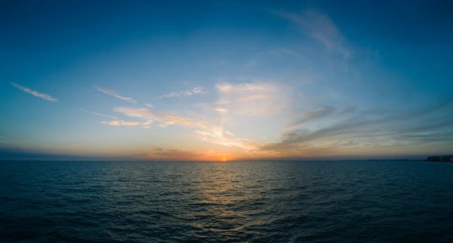 Navigating the Biologic Labyrinth: Why an End-to-End CDMO is Your Compass