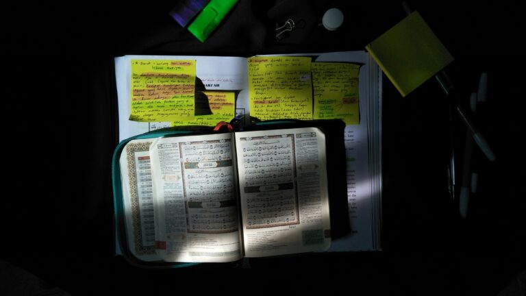 Maximizing Study Sessions: Interactive Techniques for Daily Success
